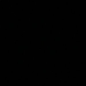 Meet your Posher, Jade